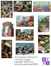 Load image into Gallery viewer, Sea Anemone Card Set - Collection #1