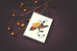 Butterfly Card Set - Collection #1