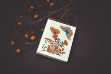 Load image into Gallery viewer, Butterfly Card Set - Collection #2