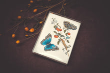 Load image into Gallery viewer, Butterfly Card Set - Collection #2