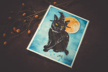 Load image into Gallery viewer, Catwitch Collection