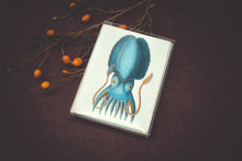 Load image into Gallery viewer, Cephalopod Card Set - Collection #1