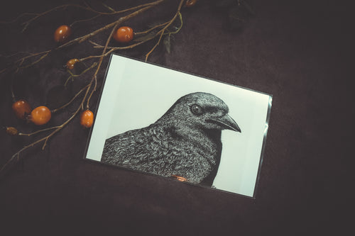 Crow Mini Prints