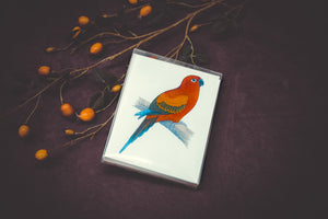 Parrots & Relatives Card Set