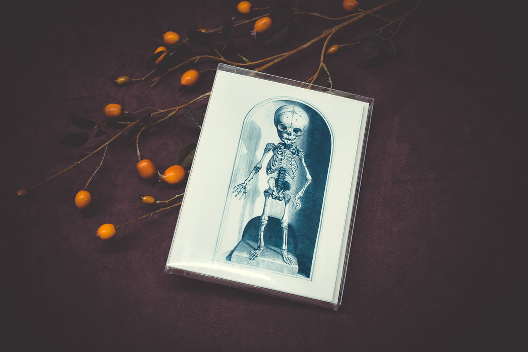 Boney Bits Card Set - Collection #2