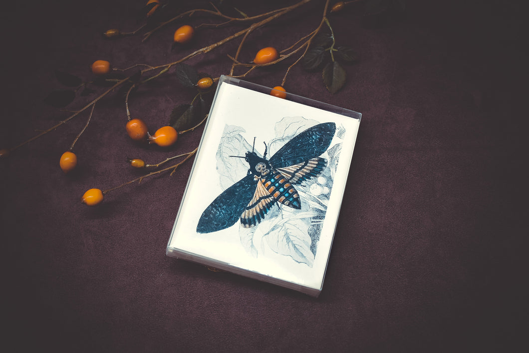 Death's Head Hawk Moth Card Set