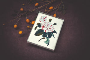 A Dozen Roses Card Set - Collection #1