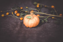 Load image into Gallery viewer, Eternal Gourds